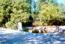 View Of Children park